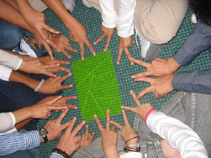 img3343.jpg